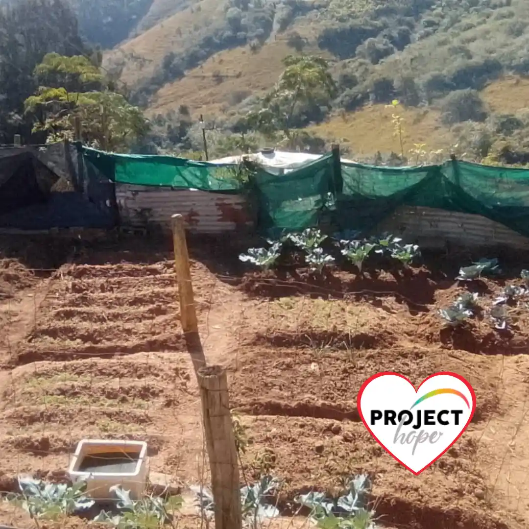community-development-programme-food-garden Ploughed soil beds and young crops grow in a hillside vegetable garden established to support families at a local ECD centre.